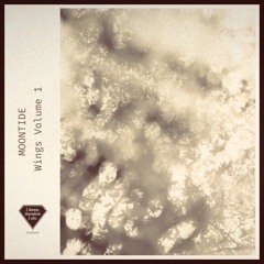 Moontide - And to the Heavens, That Still Hold [trndmsk]