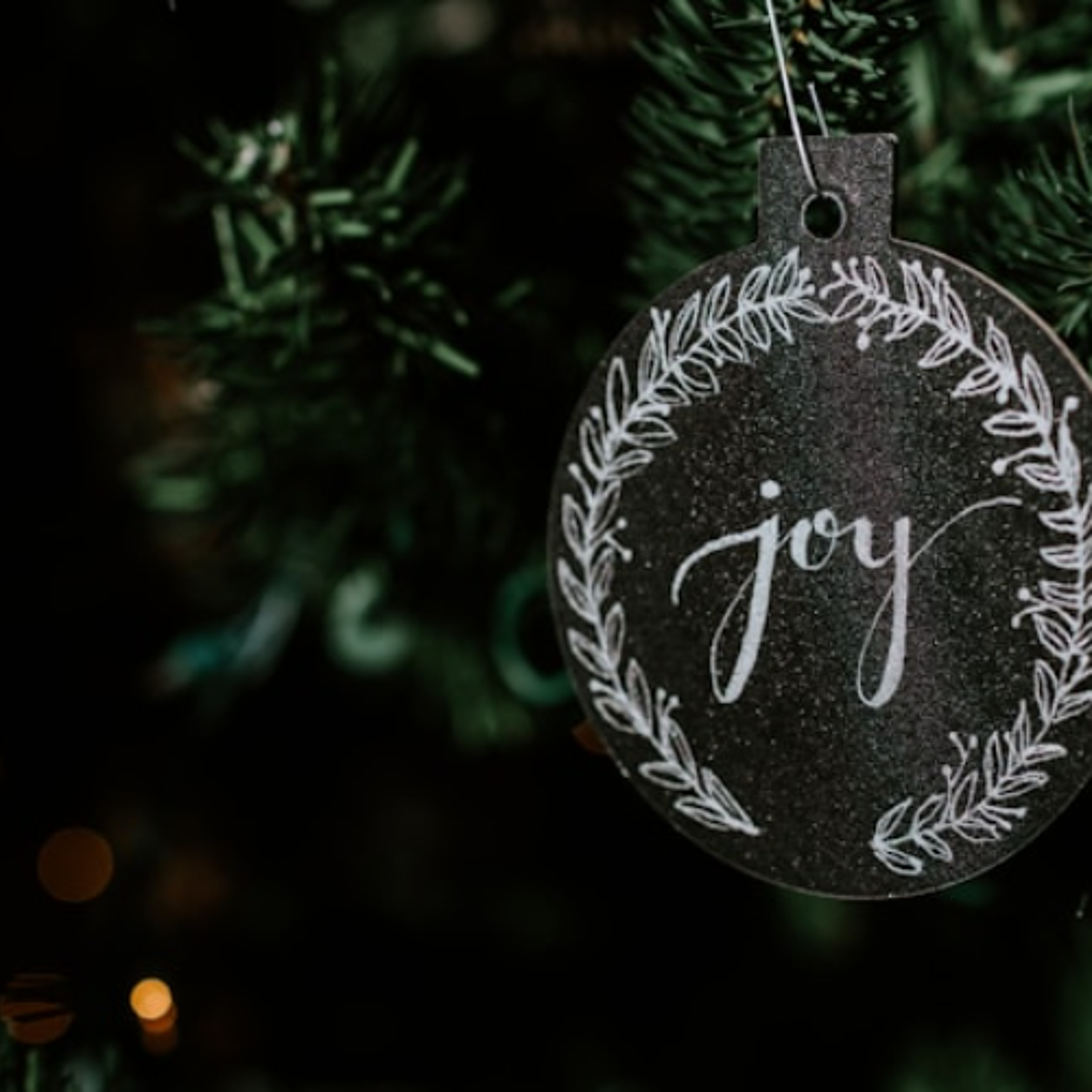 "Joy Visits, " by Nathan Meckley