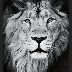 "LION"  BY GTHEGENERAL (LION OF JUDAH) YESHUAH