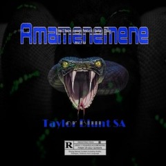 Amamenemene (Prod by Taylor Blunt).mp3
