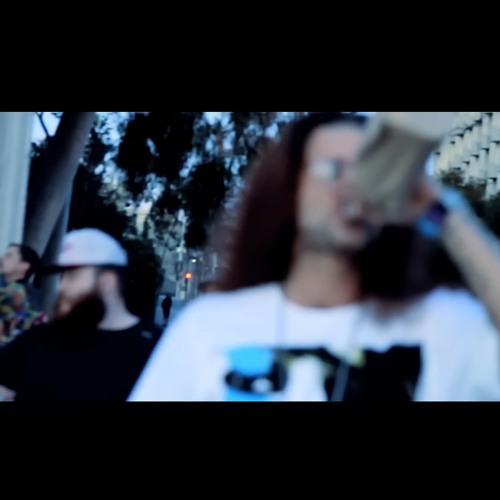 bird on a wire ft. souljaskulls