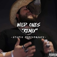Wild Ones (Remix)