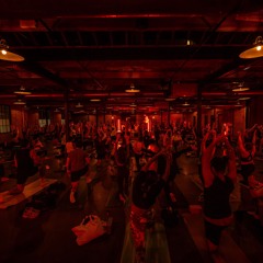 VinHausa x Morgan MFG 11.5