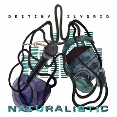 Destiny X SlyGrid - Naturalistic