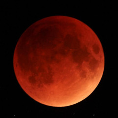 Red Nights