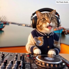 PACHANGA x BOJO LORO - ( HBZM x ADRIAN SKY x HERUMI ) #JDMM.mp3