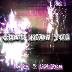Don't Know You (feat. source)