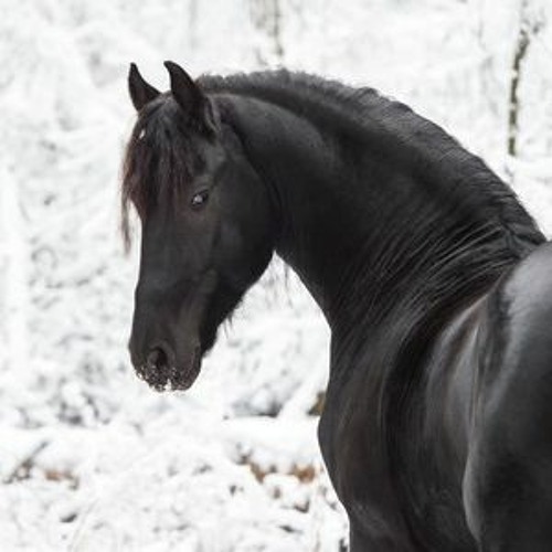 KLUSTERKAST_20 | HELIO