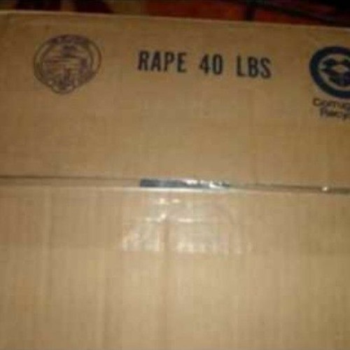40 Pound Box of Rap
