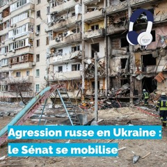 Agression russe en Ukraine : le Sénat se mobilise