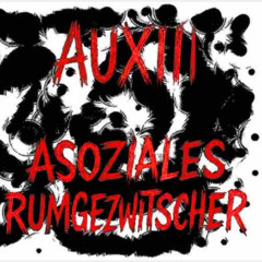 asoziales rumgezwitscher