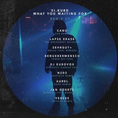 Si.Kurd - What You Waiting For (Aurel Remix)
