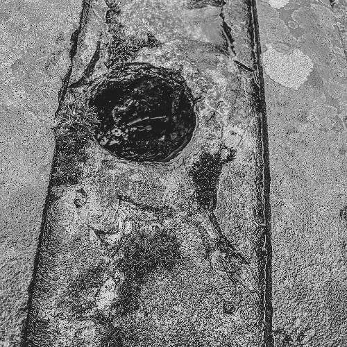 morsenerves (avec öthann) _ album out on bc