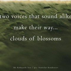 Battle Of Voices ( Naviarhaiku 347 )