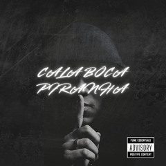 Cala Boca Piranha x É Só Catucadão ( D J BH, PORTELLA e DJ GABRIEL MÜLLER )