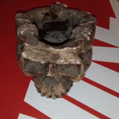 type beats ''WONT LET YOU DOWN''