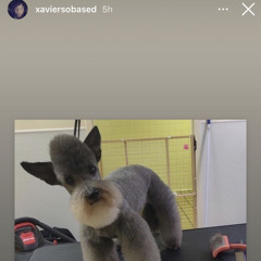 xaviersobased mix 😑