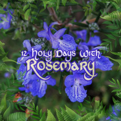 Rosemary The Beloved