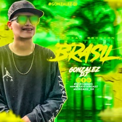 SPECIAL SECCION EDIT BRAZIL (Gonzalez Dj)