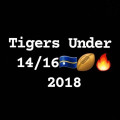 Tigers 2018 🇳🇷🏉🔥🐯.mp3