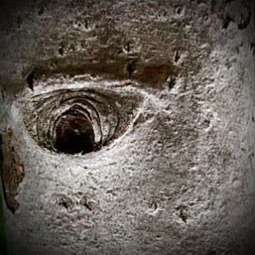 🕉️ DailY DropS 🕉️ 17/10/2025