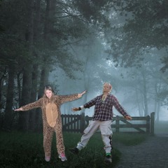 Run In The Misty Forest ᛈᚨᚲᚲ by Katt