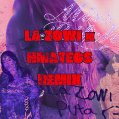 la zowi - orgasm (hmateos rmx)