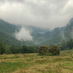 Aulus Les Bains; Synthesis & Resonance