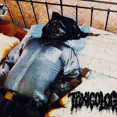 Toxicology - 2 Track Demo(2024)(Goregrind)