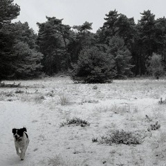 Home - (Feat. jackson vogel)