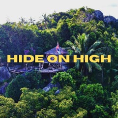 Hide on high Koh pangan - Lambertinage