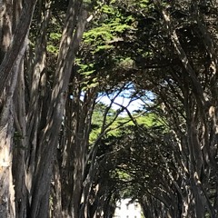 ＃9: Deep Listening - English Version (英語版）