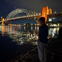 Mutt x Raindance (Brlan remix)