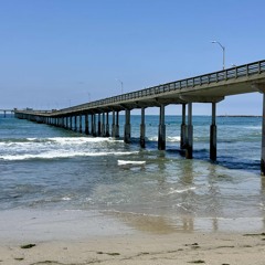 The_Pathway_of_Life 🌸🌱🌷 La Senda de Vida 🌹🌱🌺