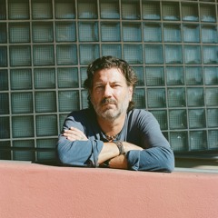 NN1 - Audio Animals Master