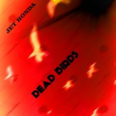 Dead Birds - Uccelli Morti