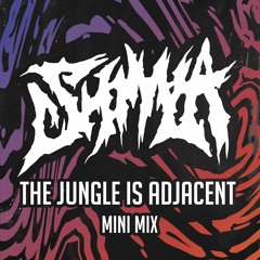 The Jungle Is Adjacent - Mini mix