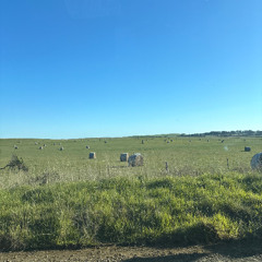 Hay Bales