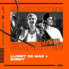 Mata ✕ Justin Bieber - Lloret De Mar (Smartee 'Sorry' Mashup) *filtered*
