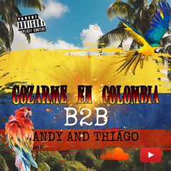 GOZARME EN COLOMBIA SET B2B