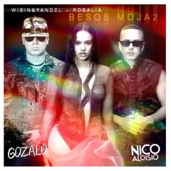 Wisin & Yandel, Rosalia - BESOS MOJA2 - DJ Nico Aloisio Chorus In Edit 💥