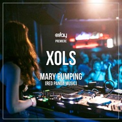 PREMIERE: Xols - Mary Pumping (Original Mix) [Red Panda Music]