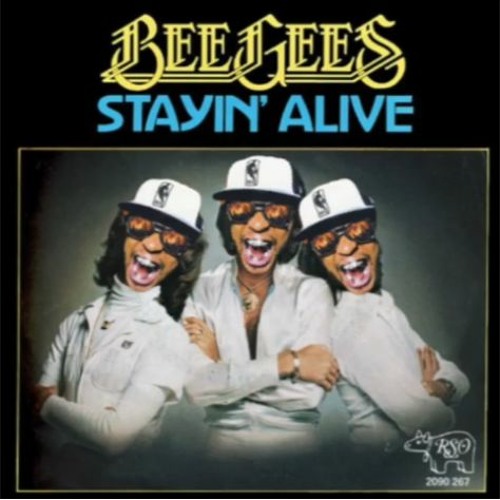 Bee Gees 'Stayin Alive' x Lil Jon 'Get Low' #mashup @Lil Jon