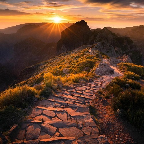 Deep Walk