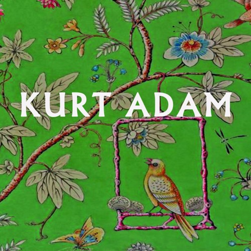 Kuş Uçtu