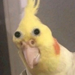 tohuwabohu