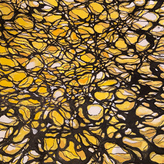 Child of Love - Alvaro Santamaría | (hijo del sol recuerda eres amor) | Nosotros el Tambor