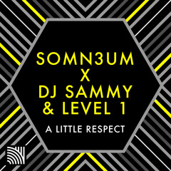 A Little Respect (Somn3un Remix)