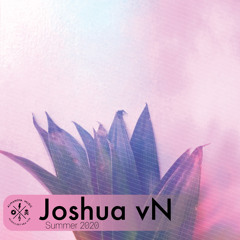 Joshua vN Summer 2020