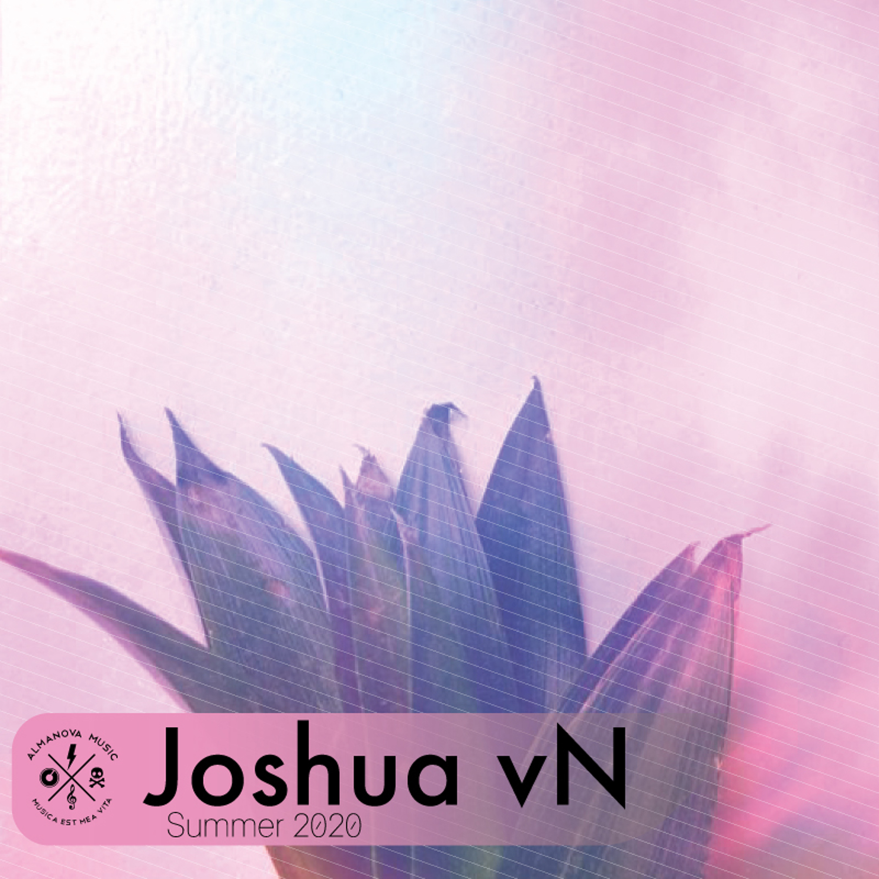 Joshua_vN
